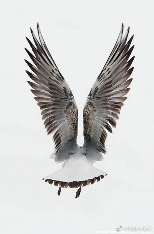 摩登6娱乐 品牌合规与信任